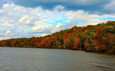 across-turkey-cove-with-clouds_orig