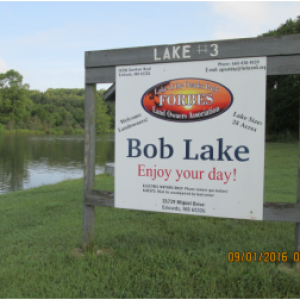 bob lake