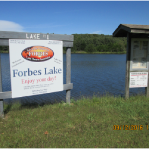 forbes lake